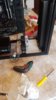 IMG-20190226-WA0001.jpeg