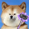 devdoge_ban_purple.jpg