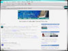 netscape.jpg