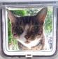 BillyTheCat