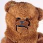Bungle