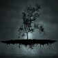TotalEntropy