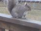 jaxson50
