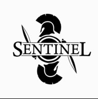 Sentinel-R1