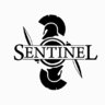 Sentinel-R1