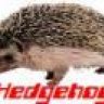 Hedgehog1965UK