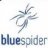 Bluespider