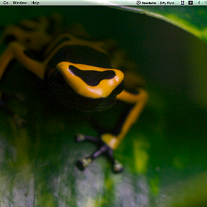 frog2 desktop