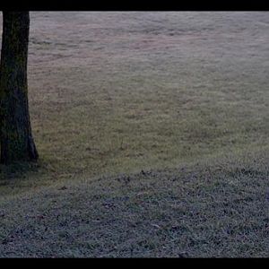 3077276677 9821e350ac