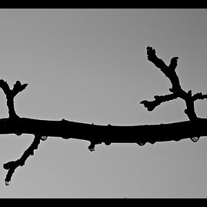 3078106804 e78e618d49