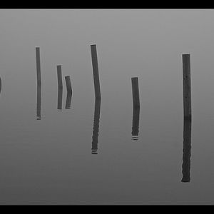 3078109466 57551d0835