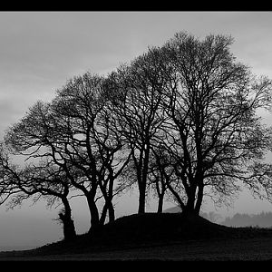 3078111864 560017f246