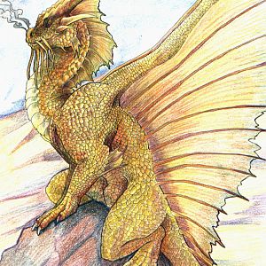 gold dragon