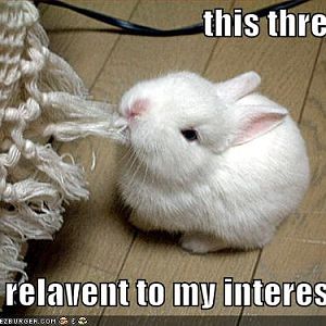 80a20673dee3b525cb1a943778d27688345595941583b314582a9a551d65e9f4d7397737459fab468b8da8a548bd97d5bf285f3eb59b3f384df4dc0856d10479aca7e5d2e511fc2b2eb37f