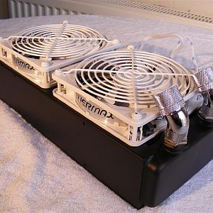 2009 03150008 (Medium)