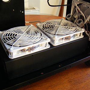 2009 03150018 (Medium)