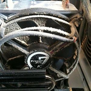 An image while still inside the case