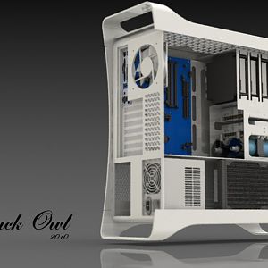 Black Owl back side off