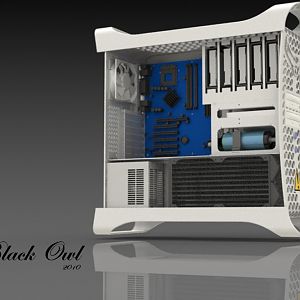 Black Owl side view copy