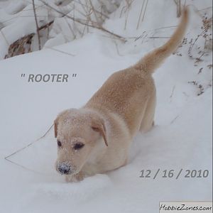 8020 pc case Rooter Powder snow 12 16 2010 800by700