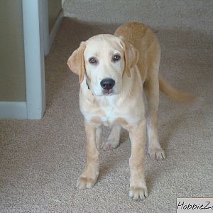 8020 pc case Rooter what ya up to 2