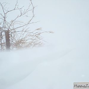 8020 pc case snowy day out 2