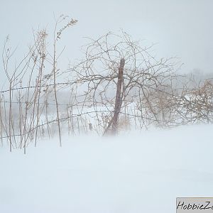 8020 pc case snowy day out