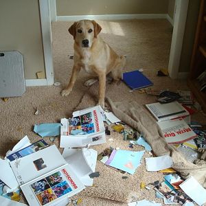 Rooter document destruction services 3