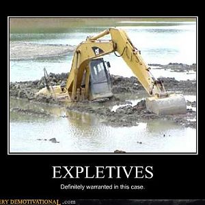 Because I don't get to swear a lot.