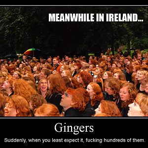 gingers