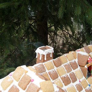 Gingerbread7