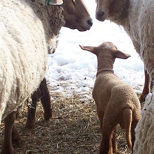 longweight and his mom and add