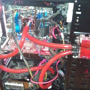 405135 10150482729328074 619593073 8866809 1705399254 n