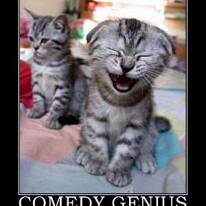comedy genius demotivational poster 1224855953