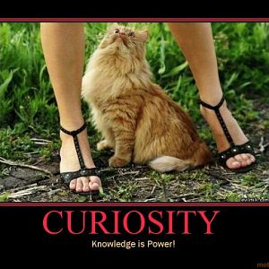 knowlege is power curiosity demotivational poster 1243701986