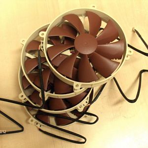 Noctua fans 2