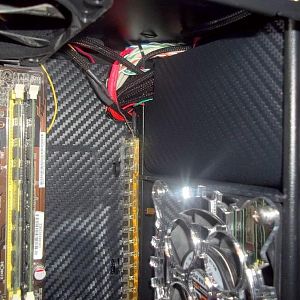 900x900px LL 630f6919 LL10