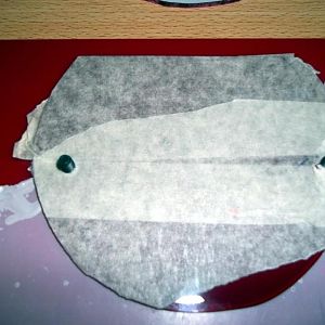 295195 3911991351567 1521036418 n