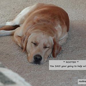 80 20 pc Build 3 pic 7