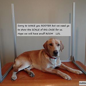 80 20 pc Build 3 pic 9