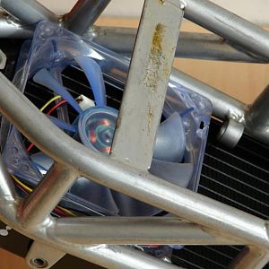 482273 10200330462618498 1781840915 n