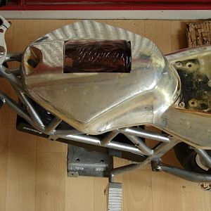 484774 10200330490419193 1960493728 n