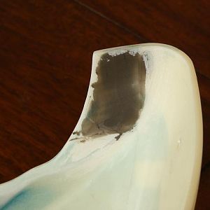 1005585 10200784819377133 1020621882 n