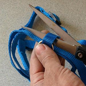 1044416 10200819130274884 1662883566 n