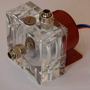 1001008 10200846707404295 1292026468 n