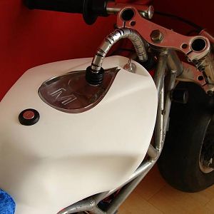 1003181 10201000446727682 408947354 n