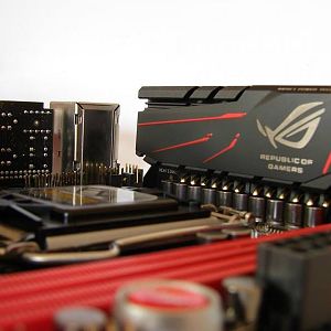 1175474 10201170268413118 391827065 n