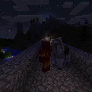 Minecraft the tunnel.