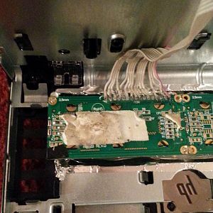 10156333 10203298824009675 872904704 o