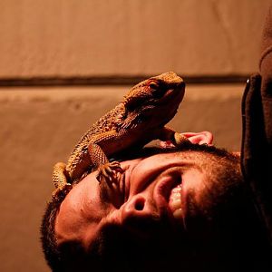 Beardy and Friend